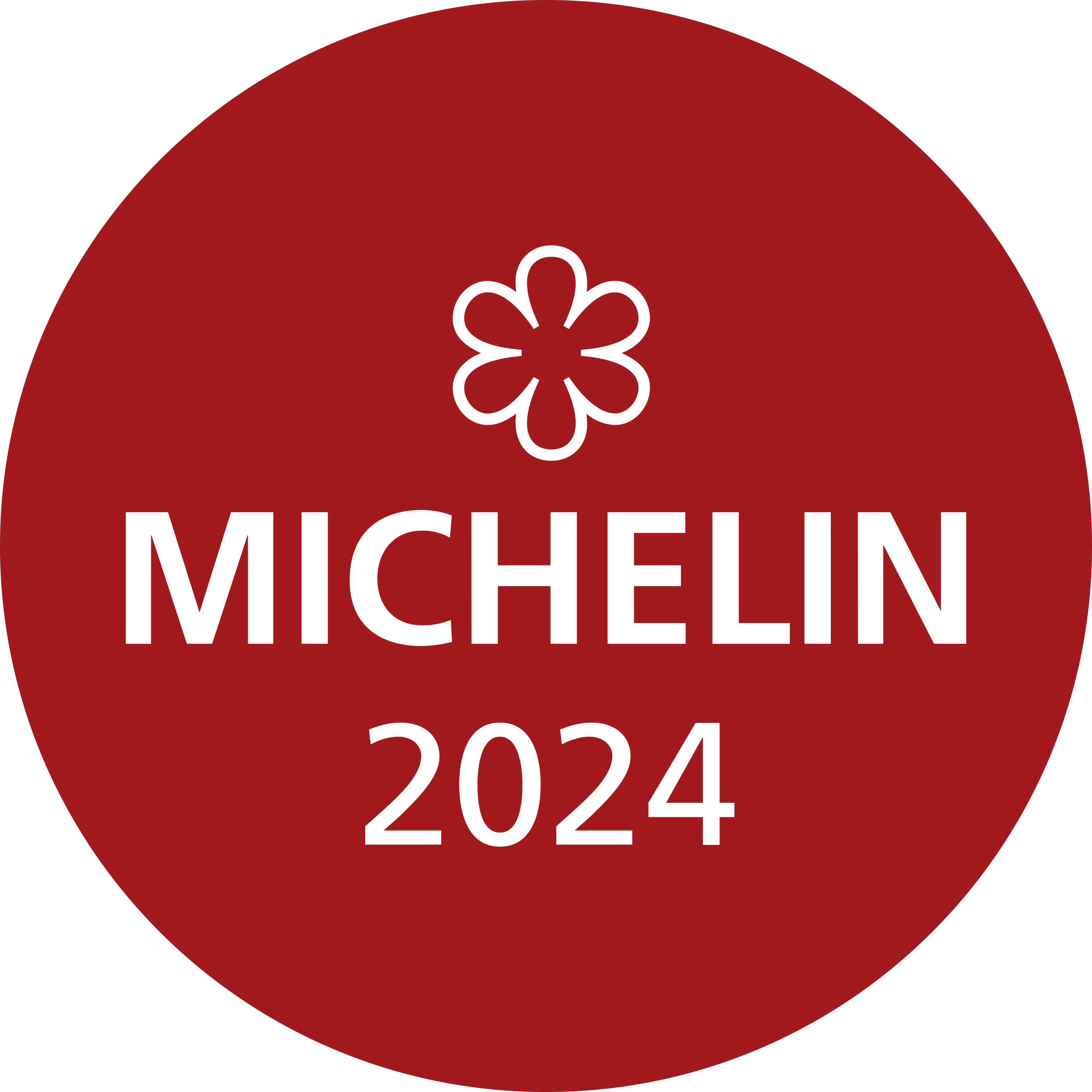 ☆ MICHELN 2024